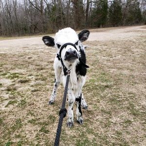 Meet your Posher, Rhonda